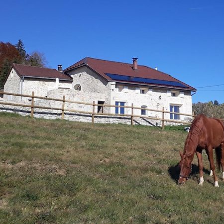 Chambres D'Hote Des 3 Marches Lamoura Zewnętrze zdjęcie