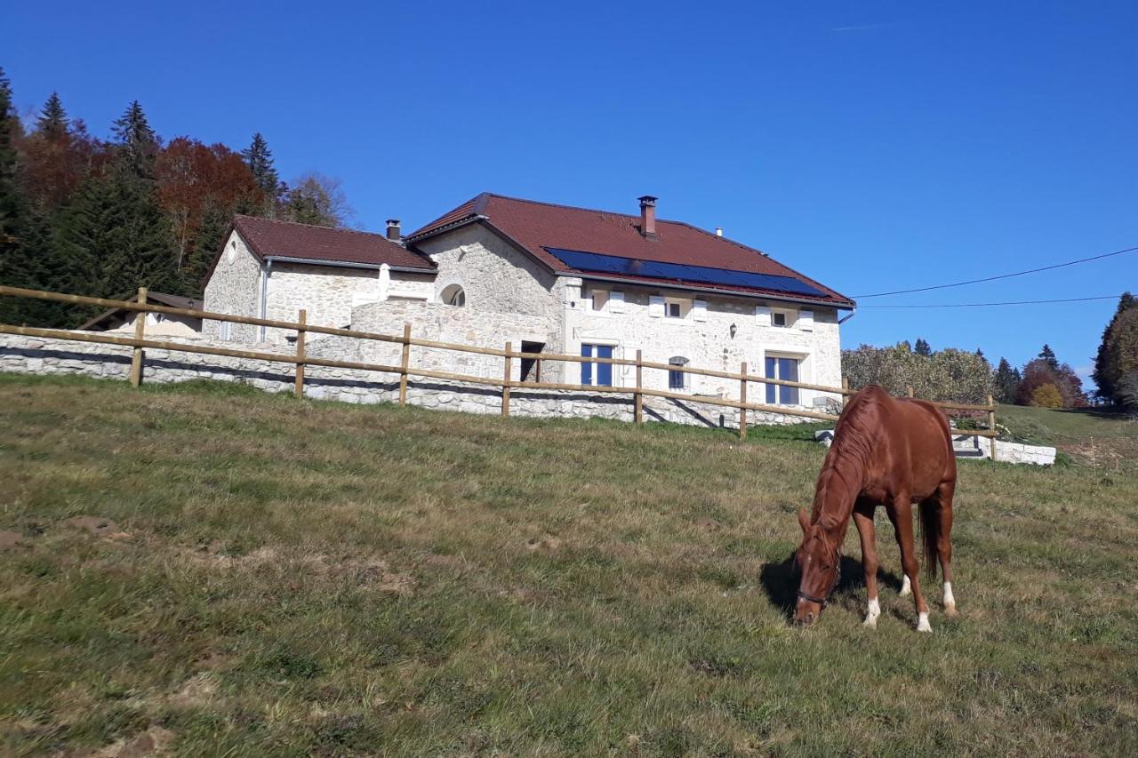 Chambres D'Hote Des 3 Marches Lamoura Zewnętrze zdjęcie